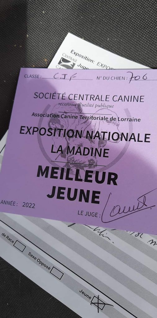 Des Bouilles De Valdemanon - Nationale élevage Madine (55)