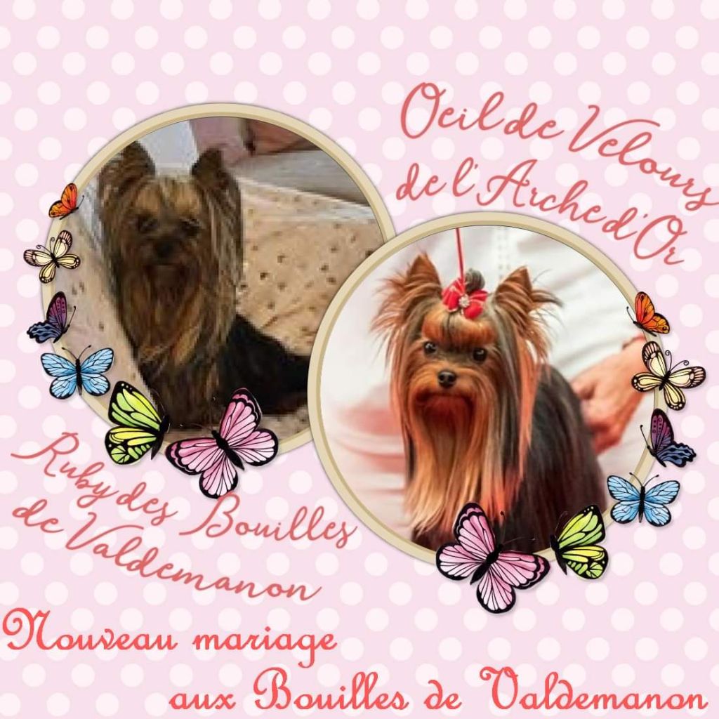 Des Bouilles De Valdemanon - Mariage....