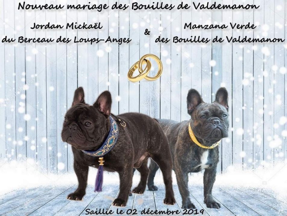 Des Bouilles De Valdemanon - Premie mariage de 2020...