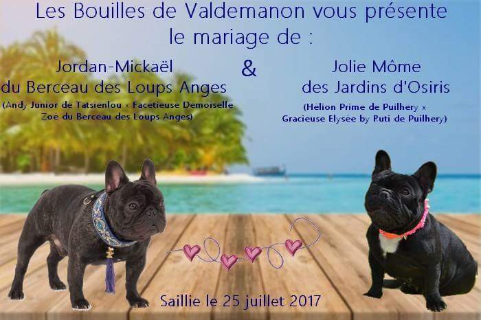 Des Bouilles De Valdemanon - une belle histoire d'amour pendant les vacances. ..