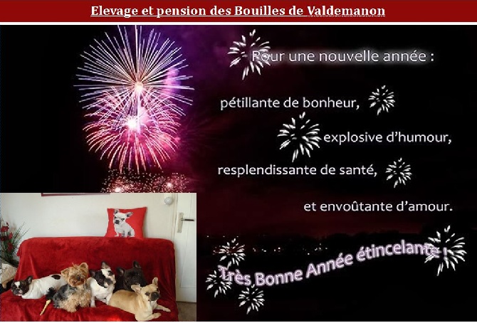 Des Bouilles De Valdemanon - bye, bye. .. 2014