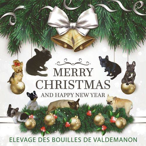 Des Bouilles De Valdemanon - La fin d'année approche...