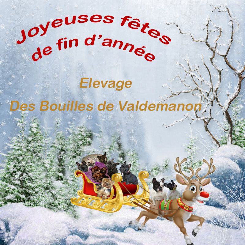 Des Bouilles De Valdemanon - Joyeuses fêtes !!