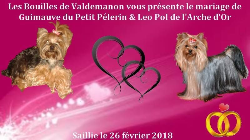 Des Bouilles De Valdemanon - Mariage ....