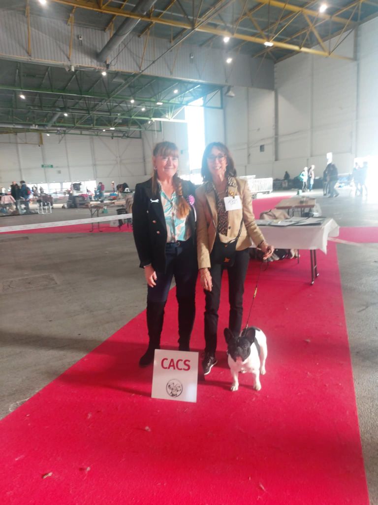 Exposition nationale Metz 2025 dimanche 9 novembre 