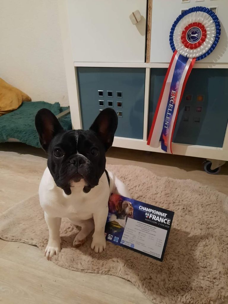 Des Bouilles De Valdemanon - Championnat de France à Montluçon 