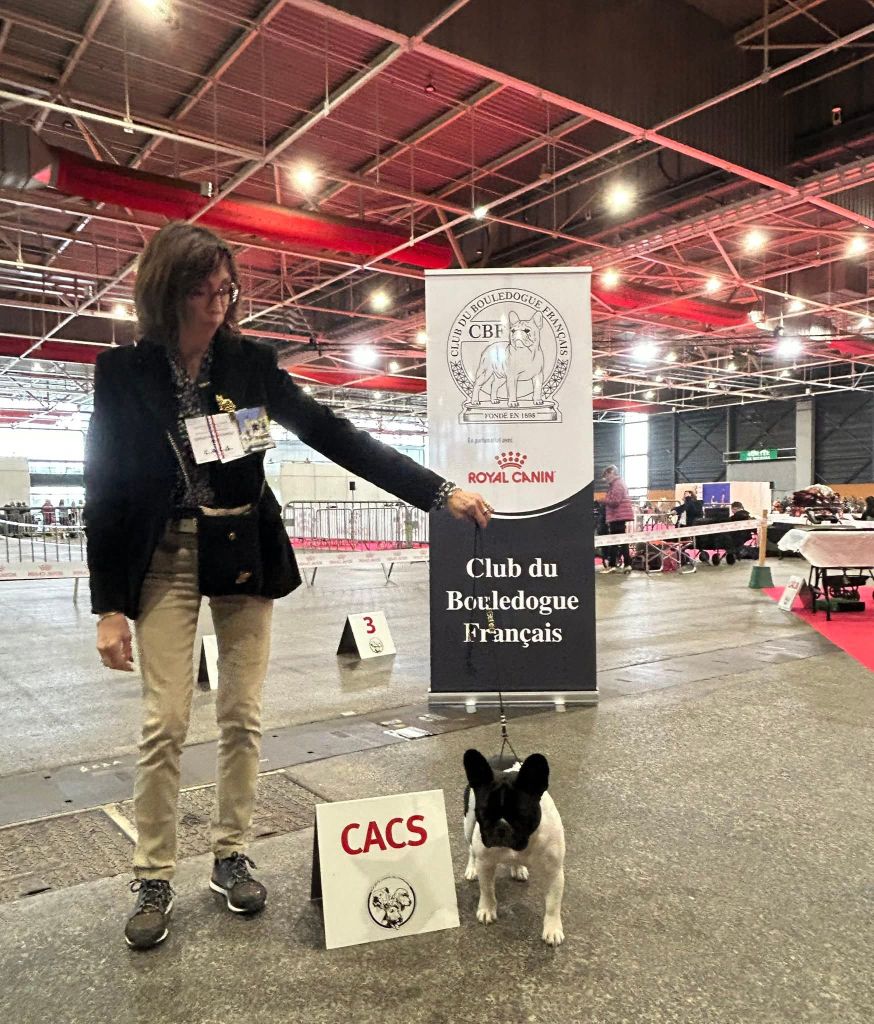 Exposition Metz Nationale samedi  8 novembre 