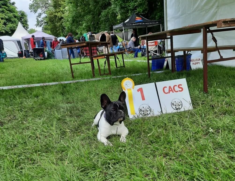 Des Bouilles De Valdemanon - NDS Nancy dimanche 25 mai