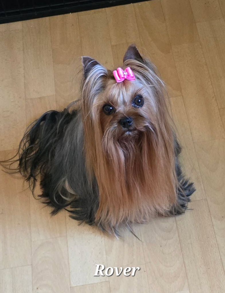 Maman Rover des Bouilles de Valdemanon...