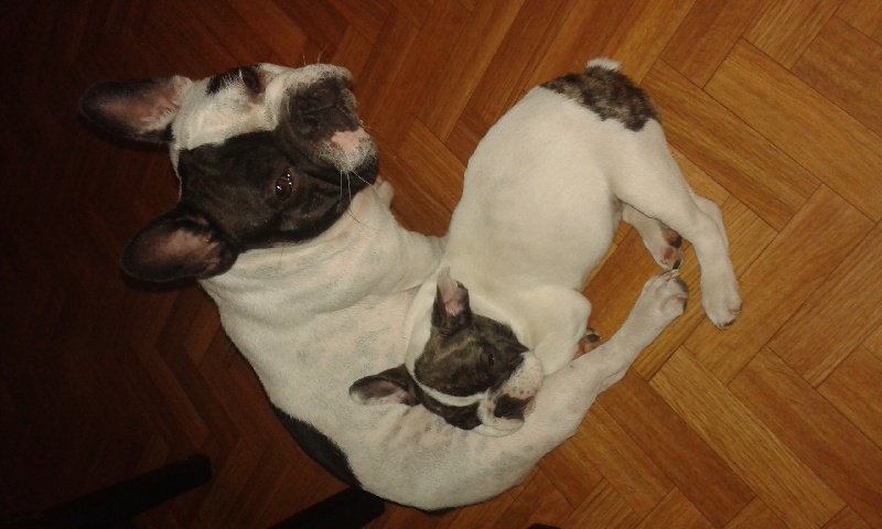 4 mois aujourd'hui. ...