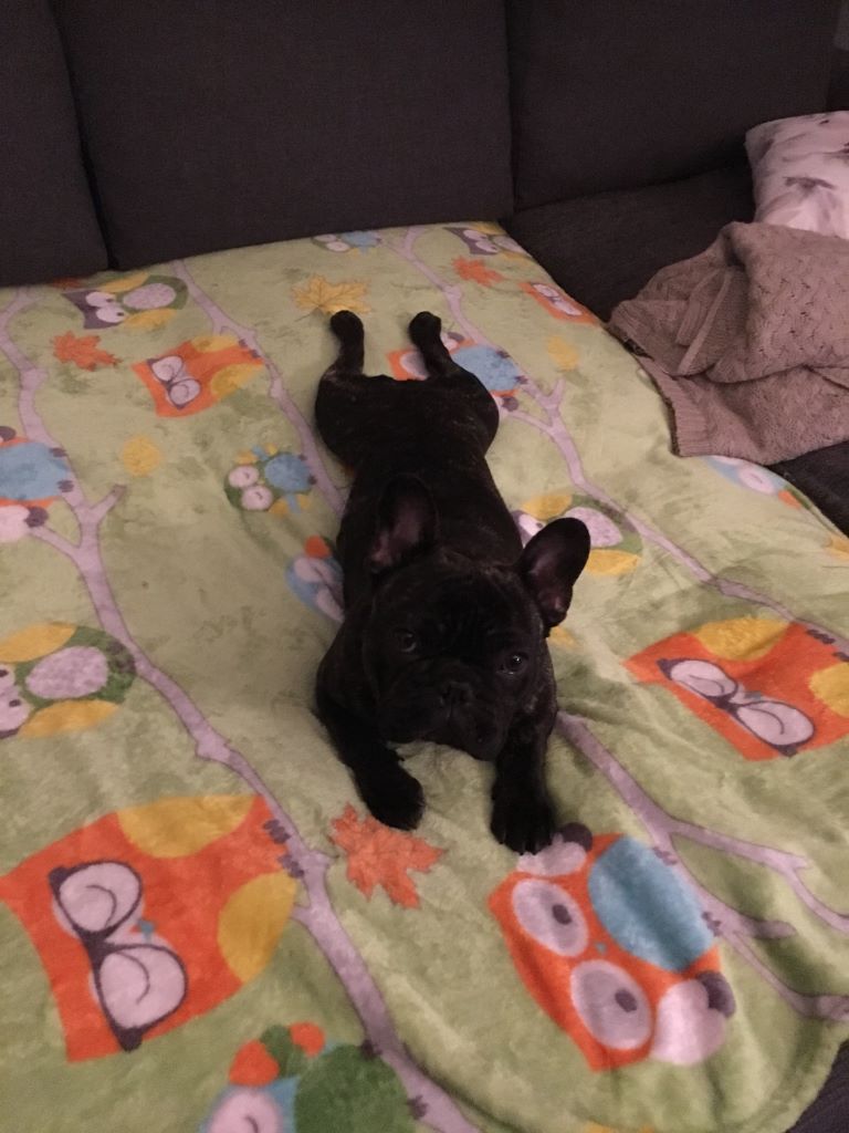 Des photos de mes bébés...
