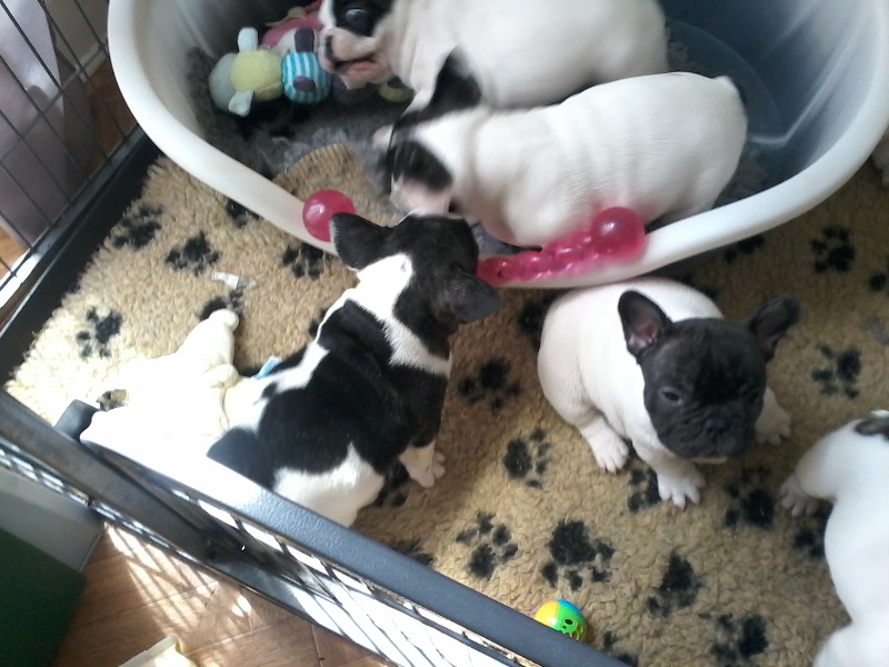 Les petits deviennent des grands!